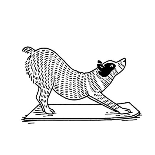 Find What Feels Good Yoga डाउनलोड करें – योगा और ध्यान का अभ्यास