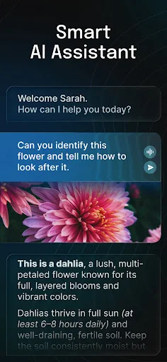 AI Chatbot – Nova डाउनलोड करें: नवीनतम AI मॉडल के साथ स्मार्ट चैट - Screenshot 18