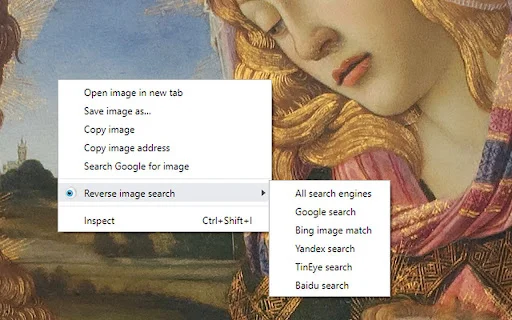 RevEye Reverse Image Search डाउनलोड करें – गूगल, बिंग और यांडेक्स पर इमेज खोजें - Screenshot 1