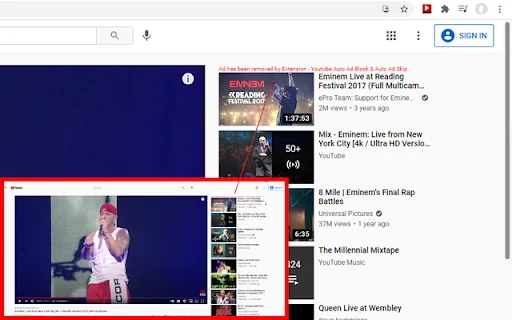 Mike Adblock Chrome के लिए डाउनलोड करें – YouTube विज्ञापन मुक्त देखें - Screenshot 3